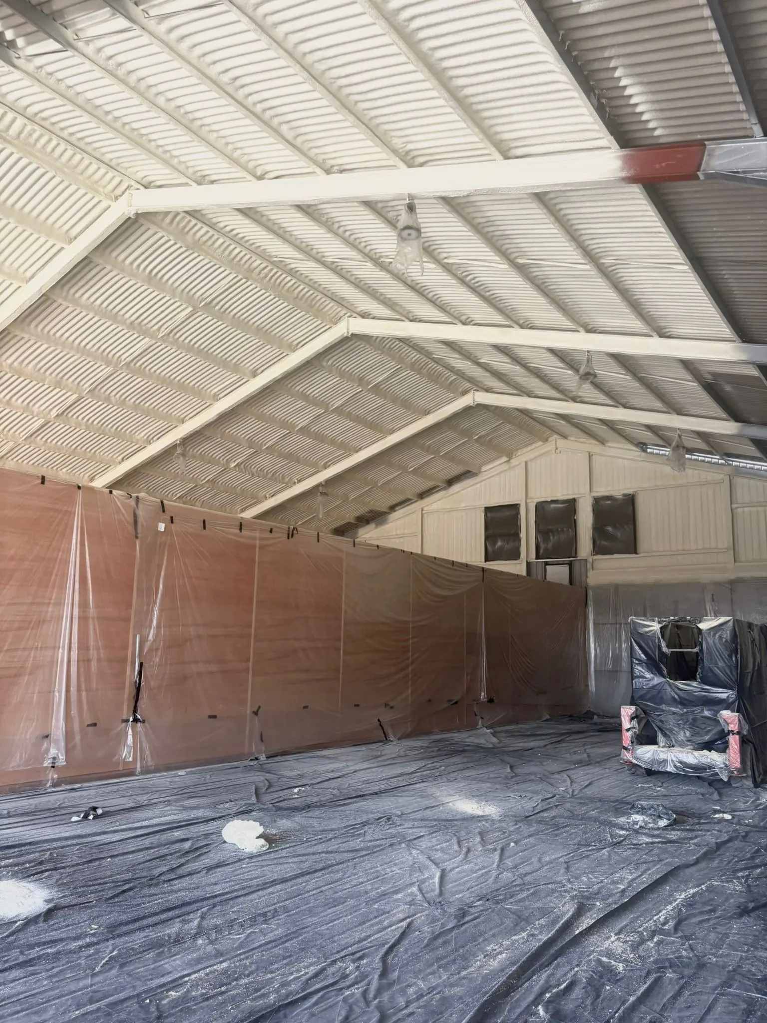An ageing cement-fibre roof before encapsulation